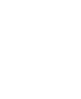 Morph Studio